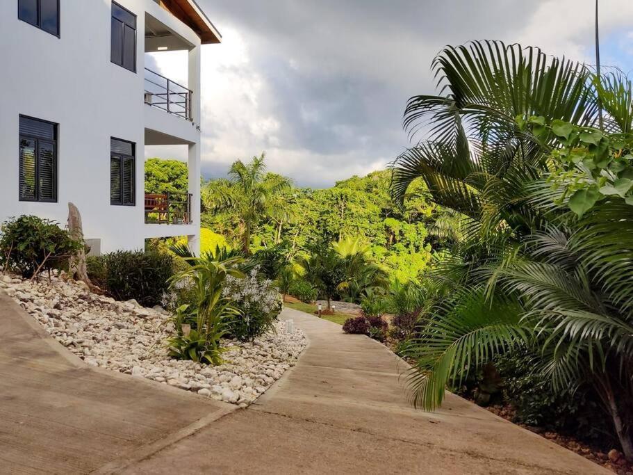 The Willow Apartment Ocho Ríos Exterior foto
